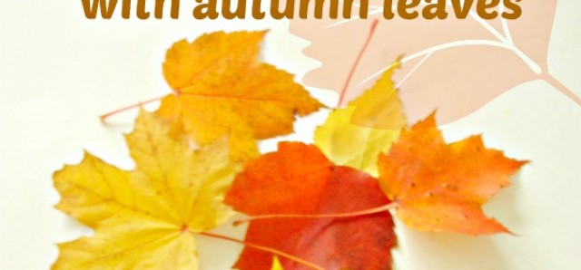 Fall theme sorting activity with colorful leaves