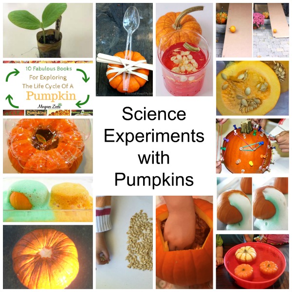 Science with pumpkins for kids